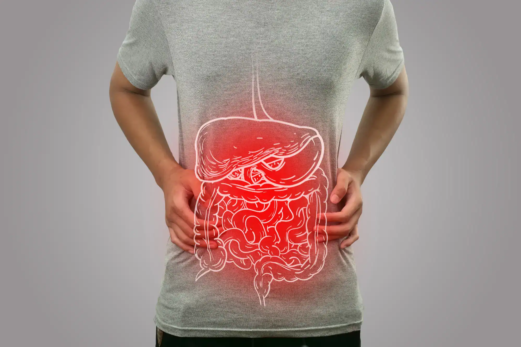 A person holds their abdomen while an illustration of the digestive system, highlighted in red, is superimposed on their torso, suggesting abdominal pain or digestive issues—an issue often addressed by primary care in Tallahassee, FL.