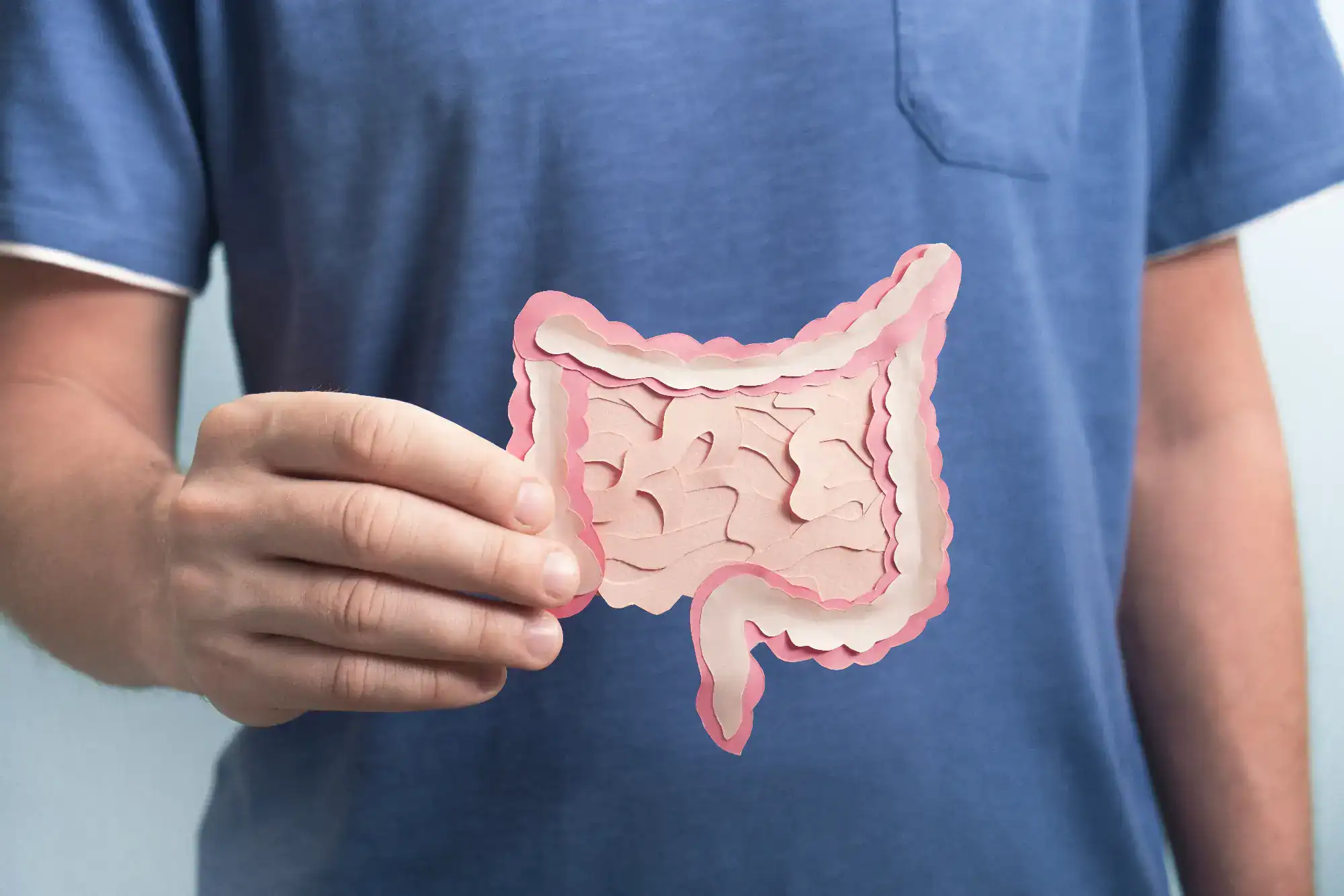 A person wearing a blue shirt holds a paper cutout illustration of a human large intestine in front of their chest, highlighting digestive health awareness in FL and the importance of primary care Tallahassee providers.